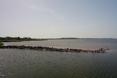 Killikus&reg; Fotographie